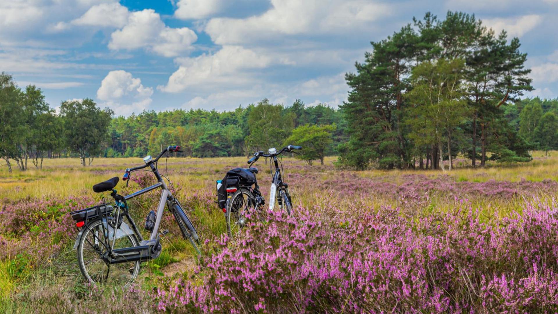 B&B Catharinenburg Golf & Wellness Melissant Eksteriør billede