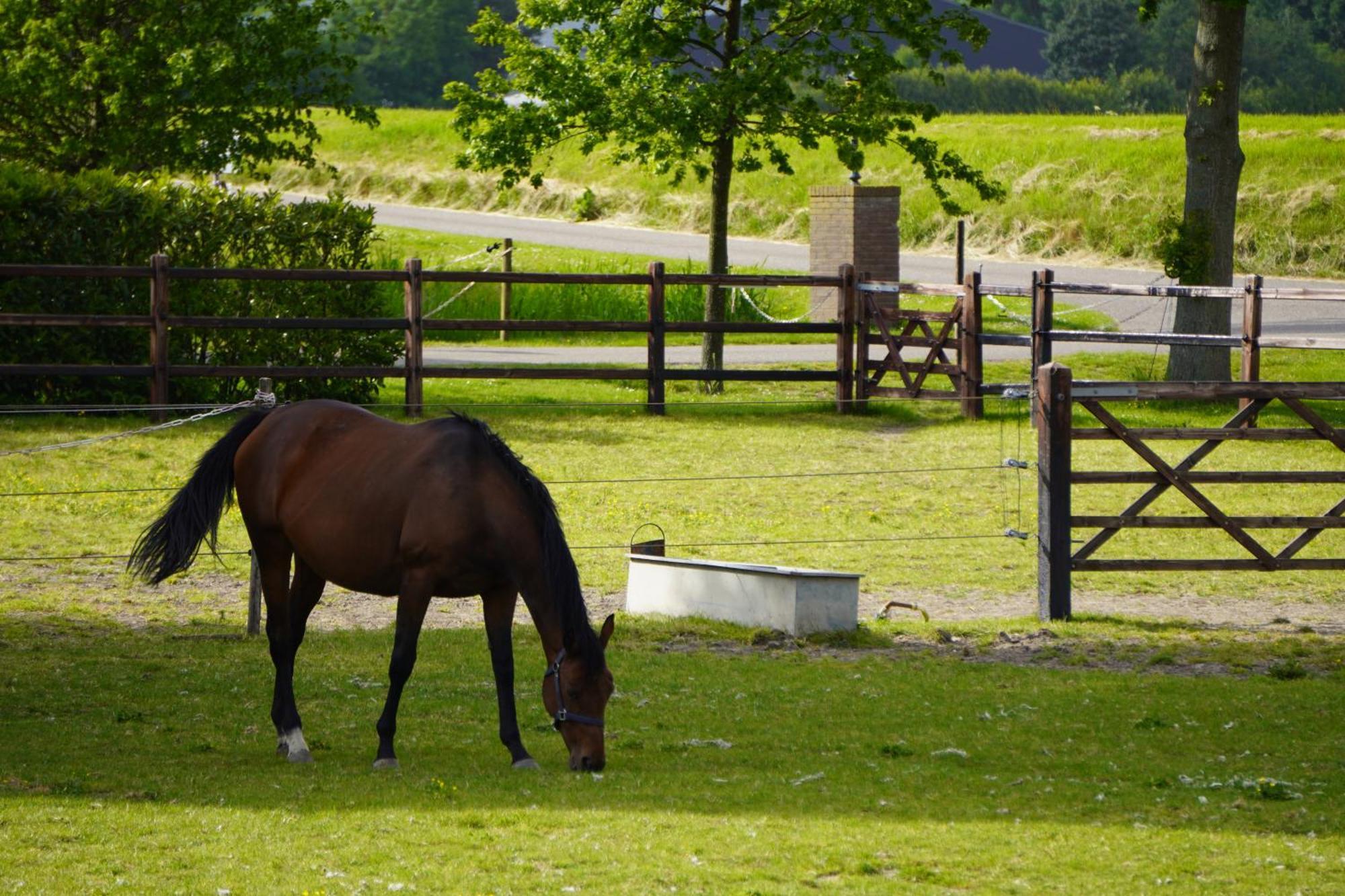 B&B Catharinenburg Golf & Wellness Melissant Eksteriør billede